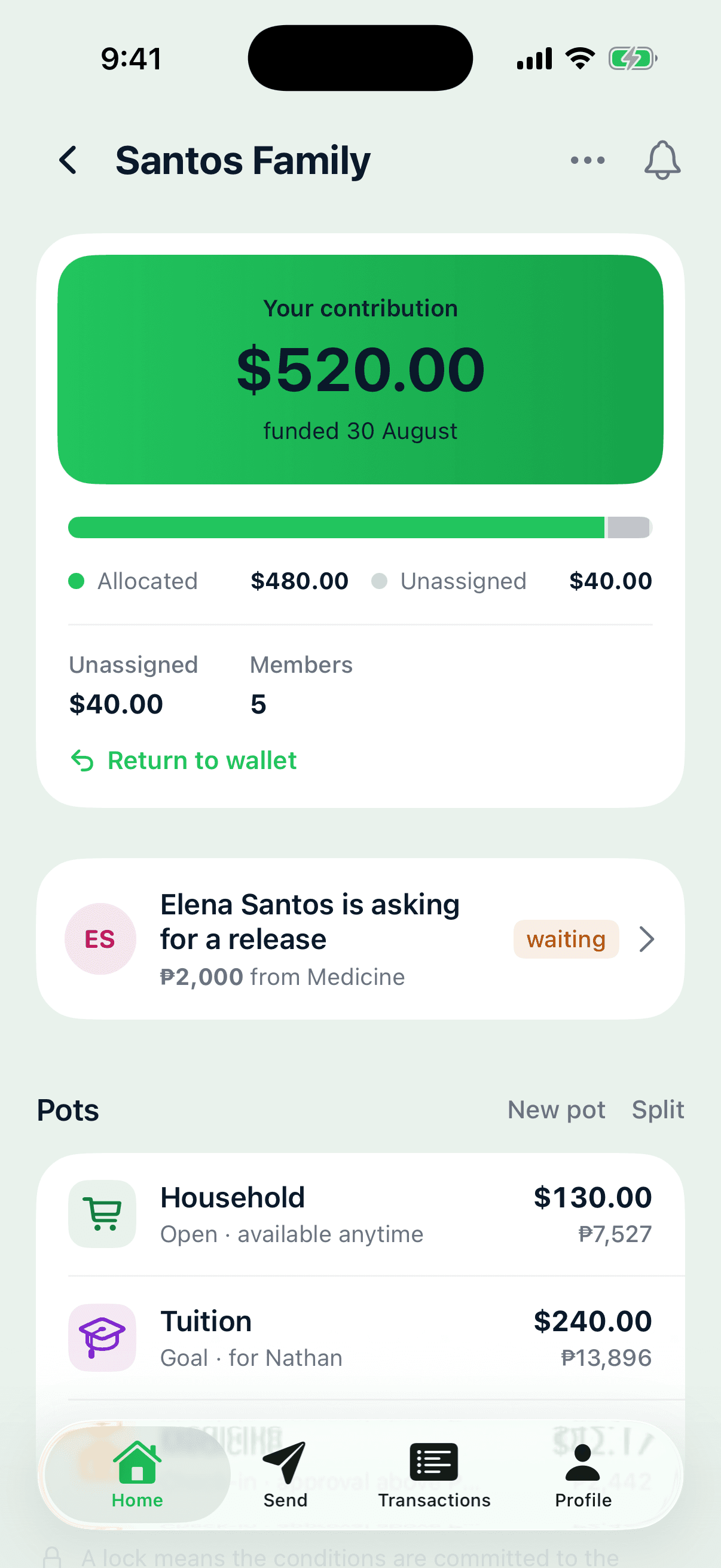 Family Wallet overview with pots for household, tuition and medicine